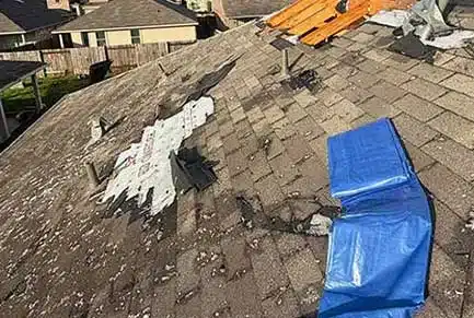 hail-damage