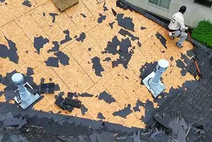 hail-damage