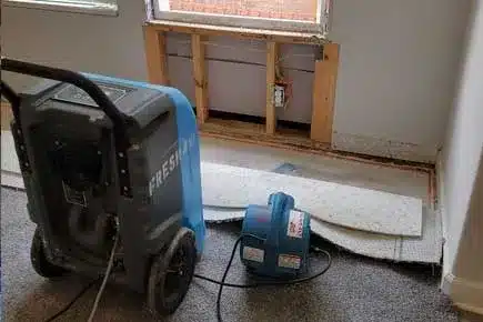 structural-dying