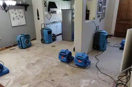 water-mitigation